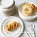 Disposable bagasse 6'' round plate